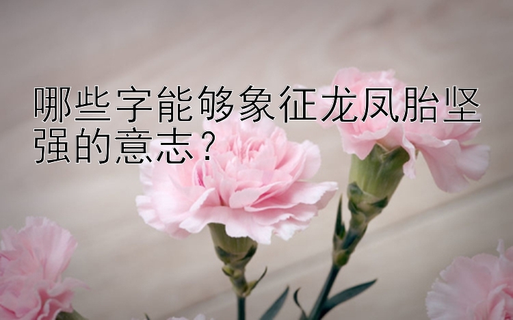 哪些字能够象征龙凤胎坚强的意志？