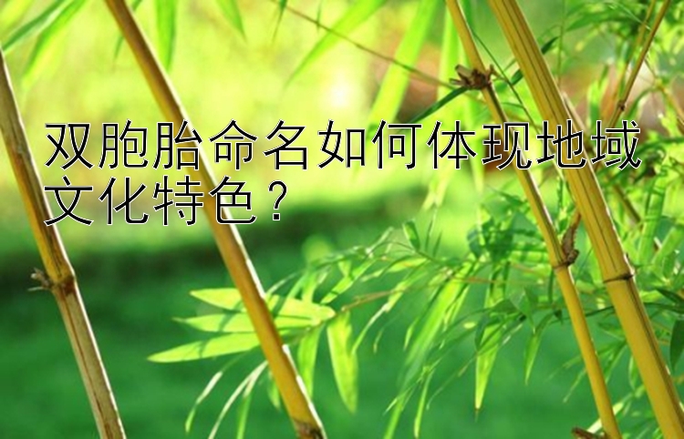 双胞胎命名如何体现地域文化特色？