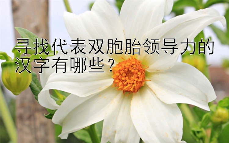 寻找代表双胞胎领导力的汉字有哪些？