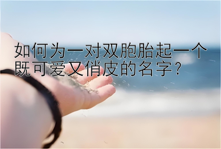 如何为一对双胞胎起一个既可爱又俏皮的名字？