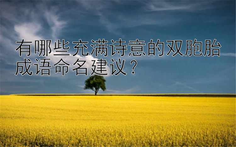 有哪些充满诗意的双胞胎成语命名建议？