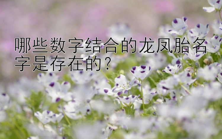 哪些数字结合的龙凤胎名字是存在的？