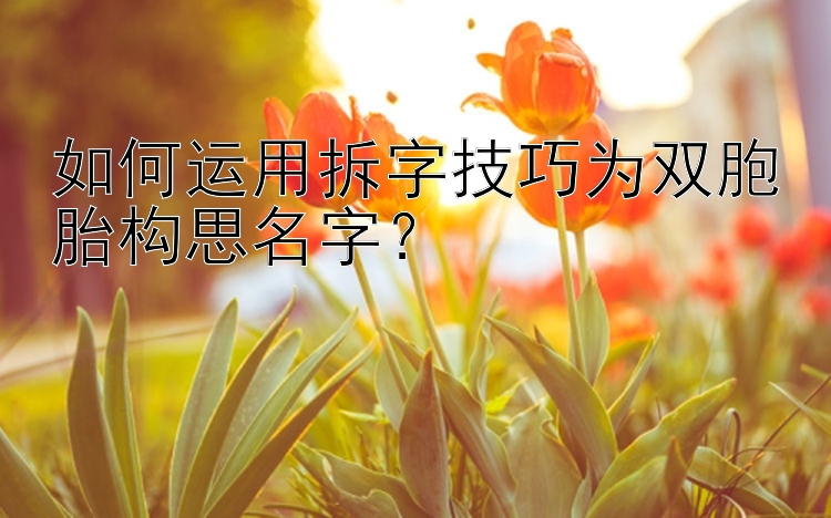 如何运用拆字技巧为双胞胎构思名字？