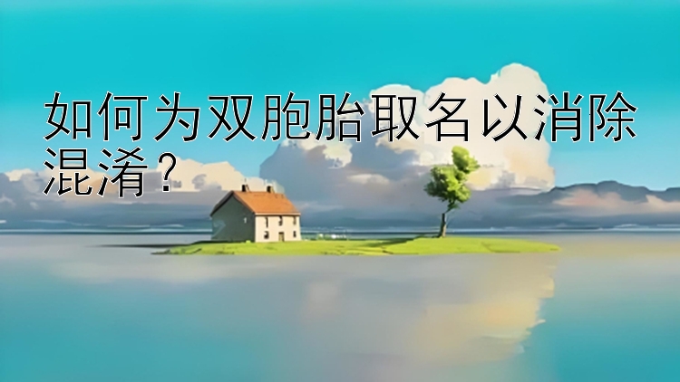 如何为双胞胎取名以消除混淆？