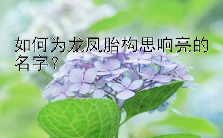 如何为龙凤胎构思响亮的名字？