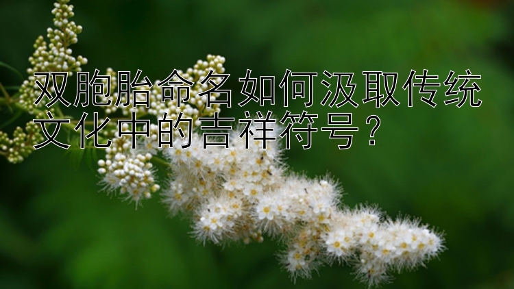 双胞胎命名如何汲取传统文化中的吉祥符号？