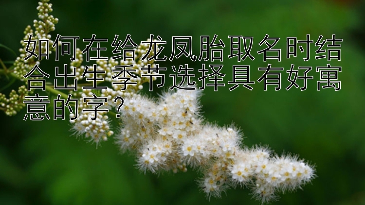 如何在给龙凤胎取名时结合出生季节选择具有好寓意的字？