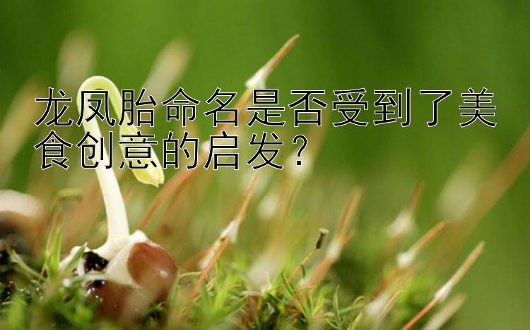 龙凤胎命名是否受到了美食创意的启发？