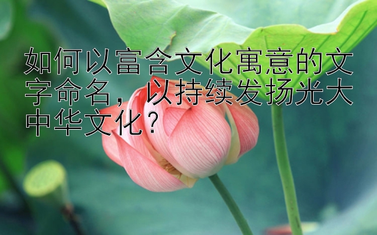 如何以富含文化寓意的文字命名，以持续发扬光大中华文化？