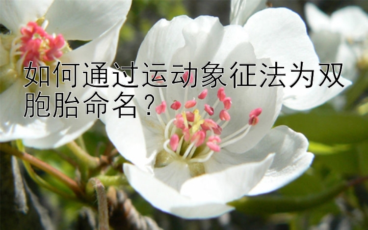 如何通过运动象征法为双胞胎命名？