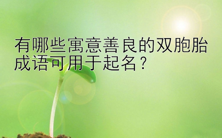 有哪些寓意善良的双胞胎成语可用于起名？