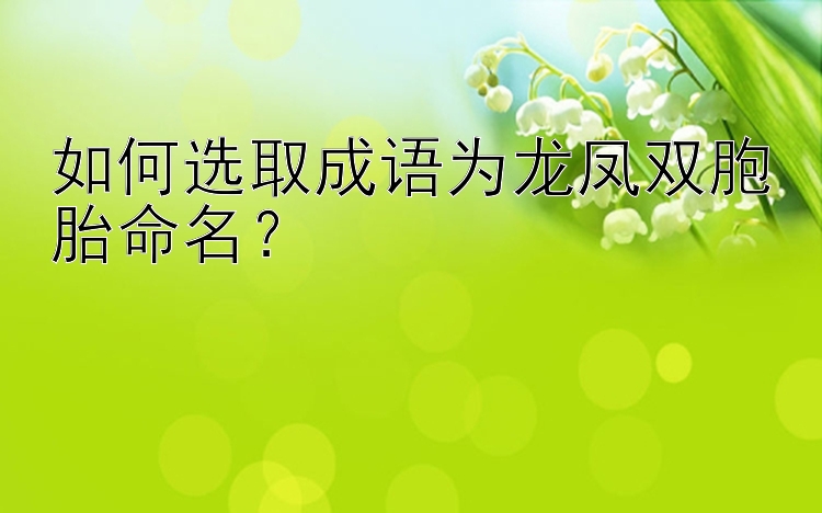 如何选取成语为龙凤双胞胎命名？