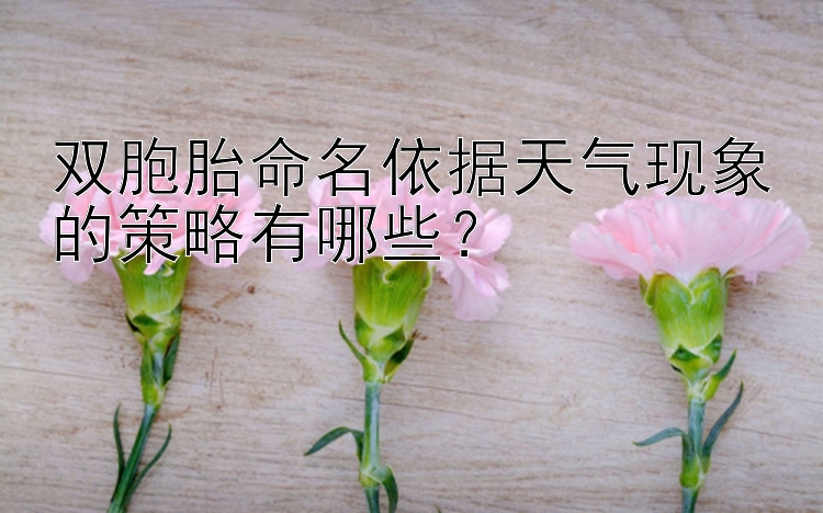 双胞胎命名依据天气现象的策略有哪些？