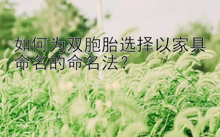 如何为双胞胎选择以家具命名的命名法？