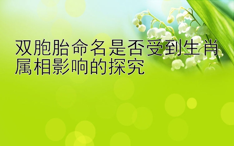 双胞胎命名是否受到生肖属相影响的探究