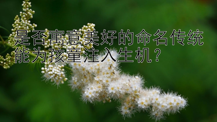 是否寓意美好的命名传统能为孩童注入生机？