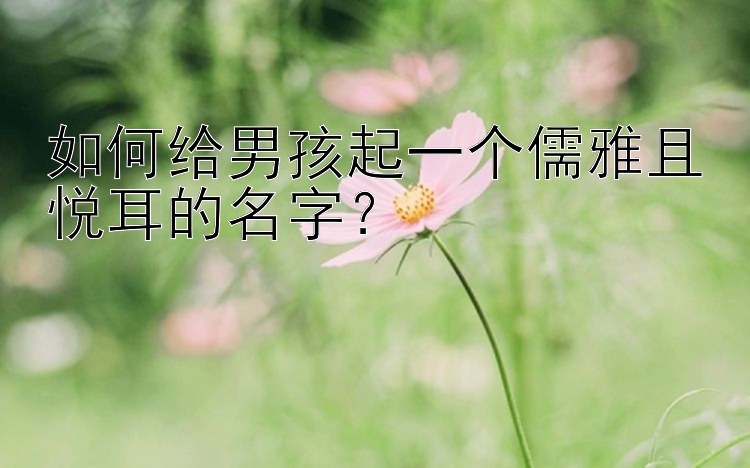 如何给男孩起一个儒雅且悦耳的名字？