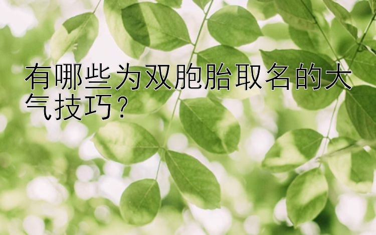 有哪些为双胞胎取名的大气技巧？