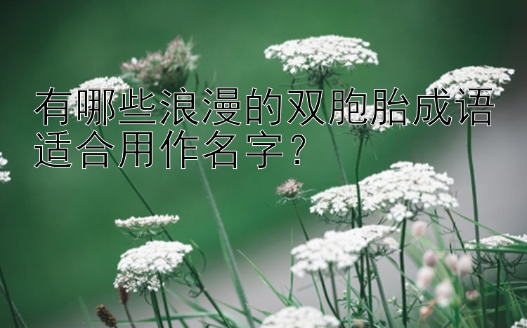 有哪些浪漫的双胞胎成语适合用作名字？