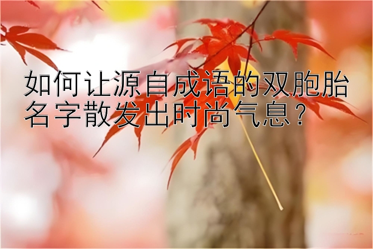 如何让源自成语的双胞胎名字散发出时尚气息？