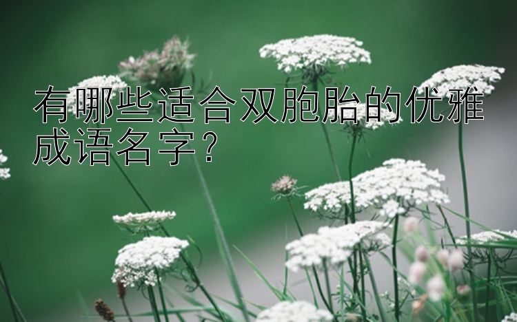 有哪些适合双胞胎的优雅成语名字？