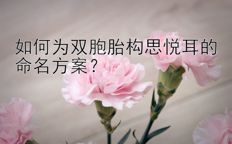 如何为双胞胎构思悦耳的命名方案？