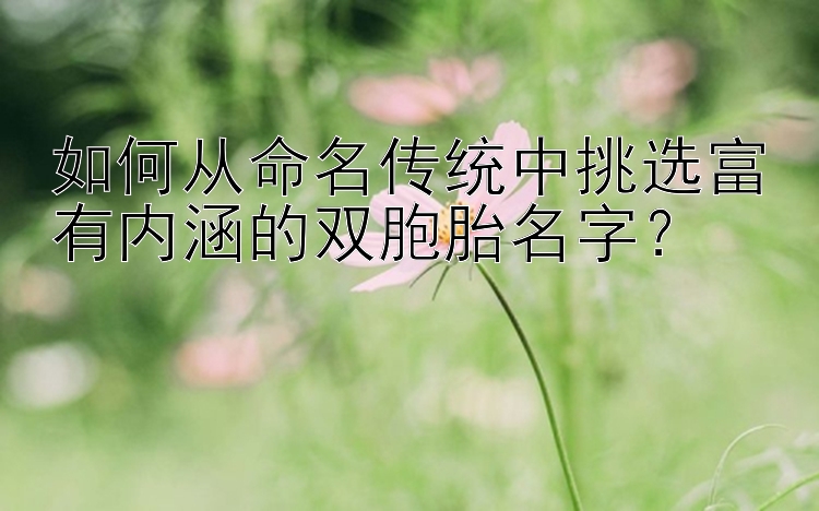 如何从命名传统中挑选富有内涵的双胞胎名字？