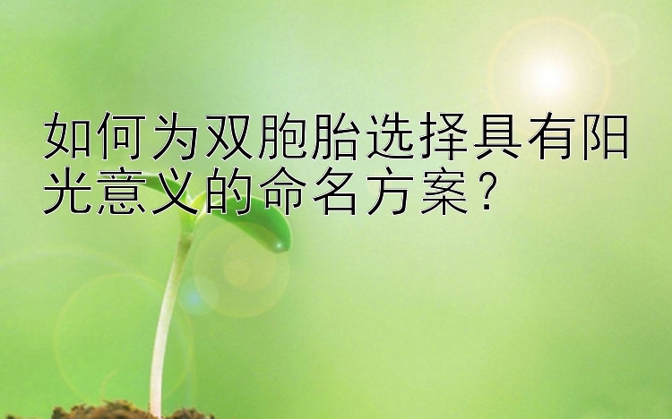 如何为双胞胎选择具有阳光意义的命名方案？