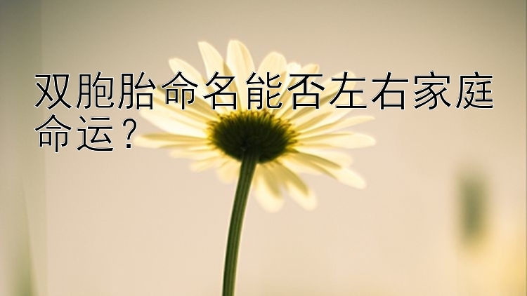 双胞胎命名能否左右家庭命运？