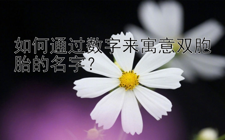 如何通过数字来寓意双胞胎的名字？