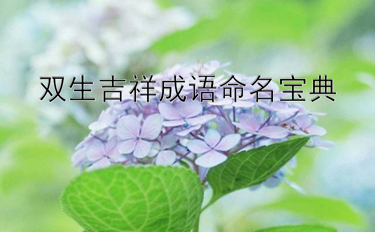 双生吉祥成语命名宝典