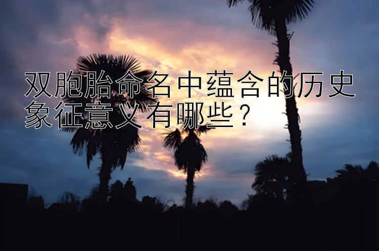 双胞胎命名中蕴含的历史象征意义有哪些？