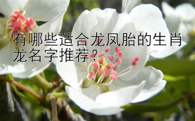 有哪些适合龙凤胎的生肖龙名字推荐？