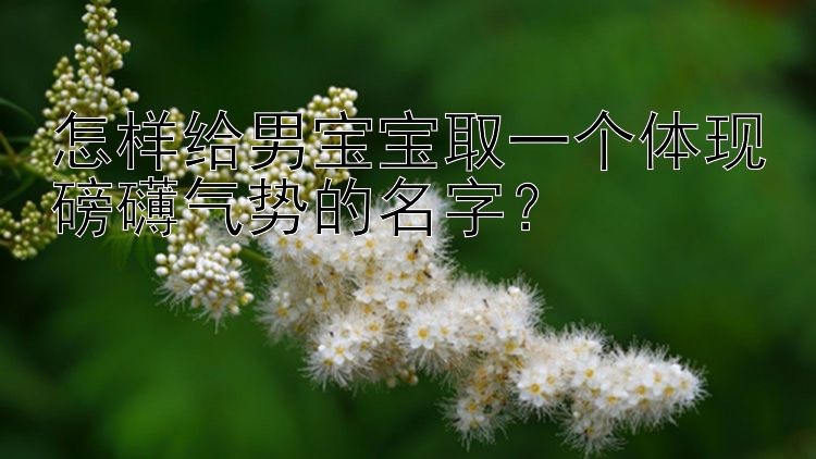 怎样给男宝宝取一个体现磅礴气势的名字？