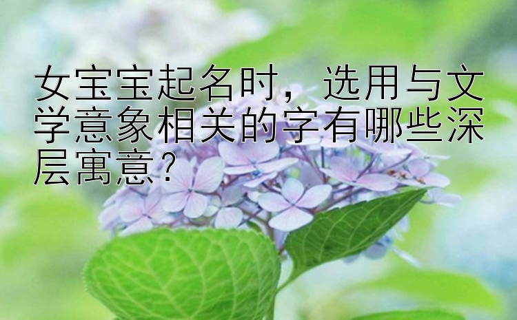 女宝宝起名时，选用与文学意象相关的字有哪些深层寓意？