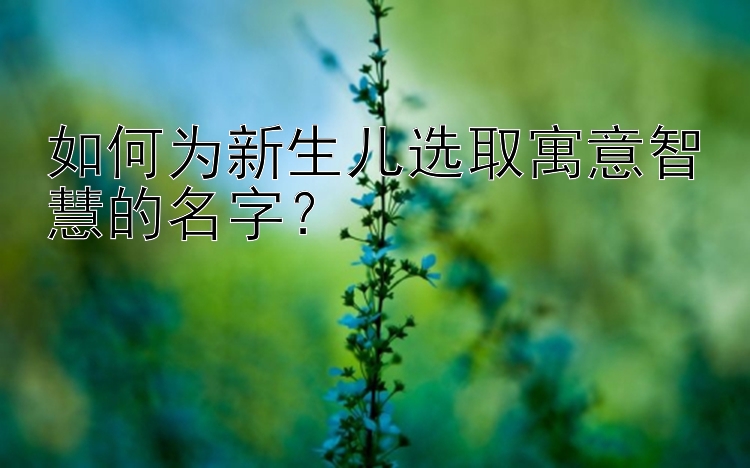 如何为新生儿选取寓意智慧的名字？