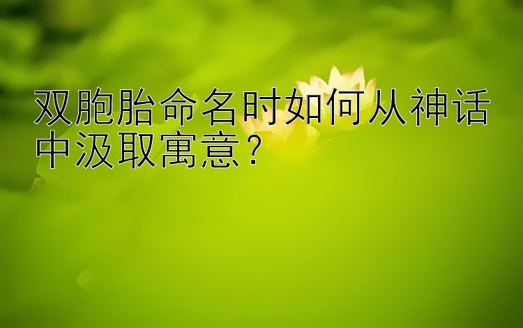 双胞胎命名时如何从神话中汲取寓意？