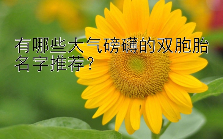 有哪些大气磅礴的双胞胎名字推荐？