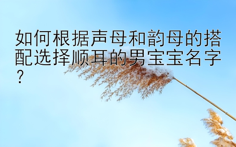 如何根据声母和韵母的搭配选择顺耳的男宝宝名字？