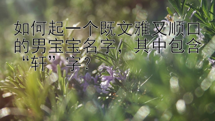 如何起一个既文雅又顺口的男宝宝名字，其中包含“轩”字？