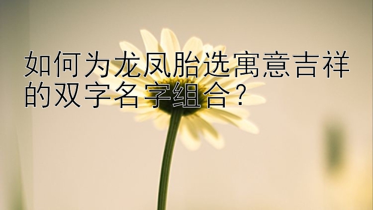 如何为龙凤胎选寓意吉祥的双字名字组合？