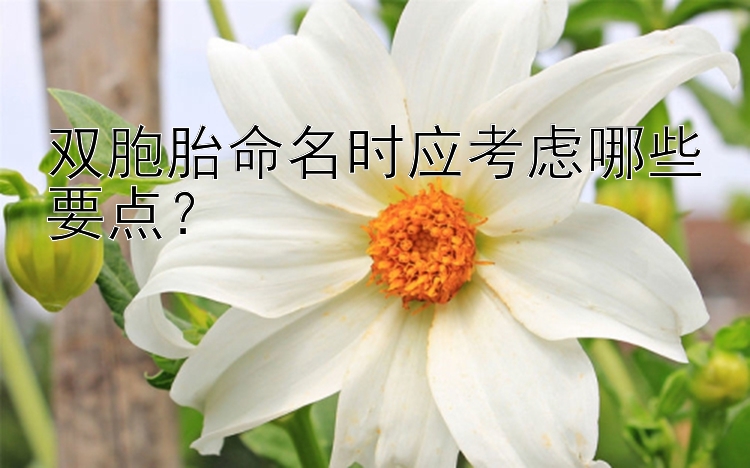 双胞胎命名时应考虑哪些要点？