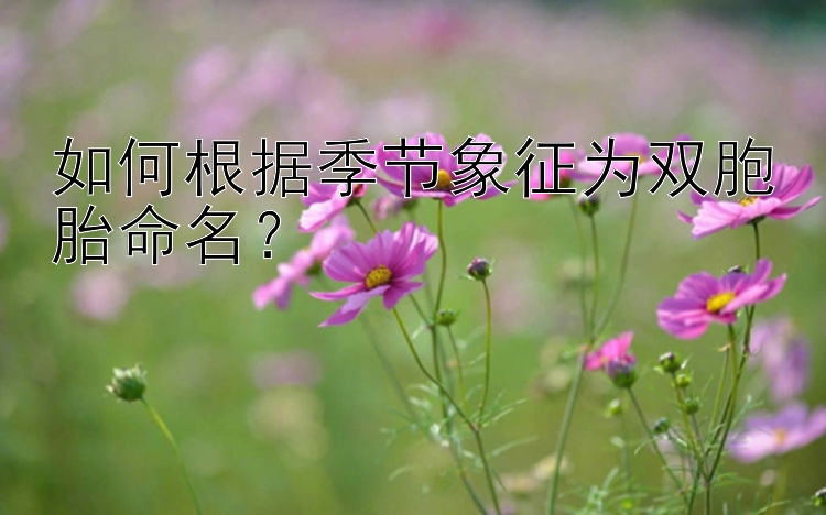 如何根据季节象征为双胞胎命名？