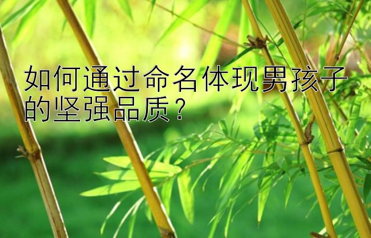 如何通过命名体现男孩子的坚强品质？