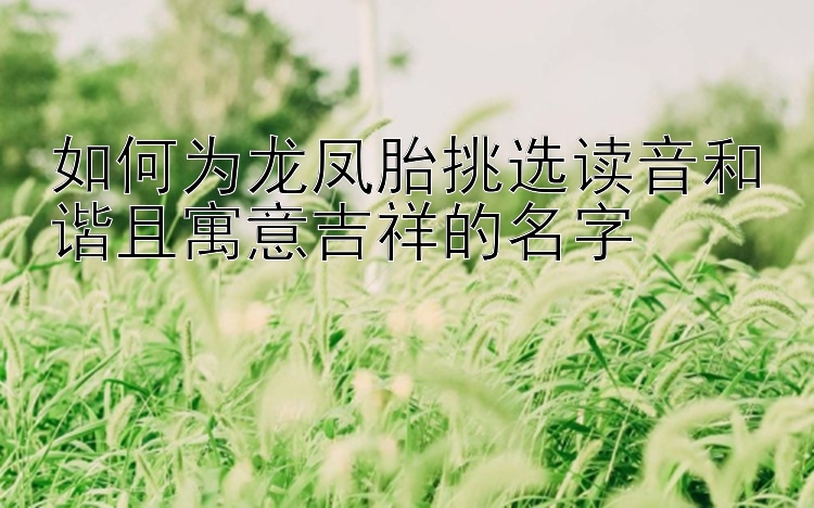 如何为龙凤胎挑选读音和谐且寓意吉祥的名字