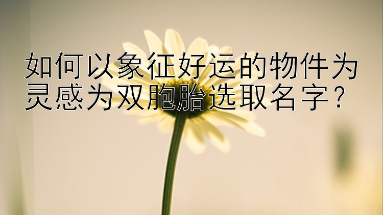 如何以象征好运的物件为灵感为双胞胎选取名字？