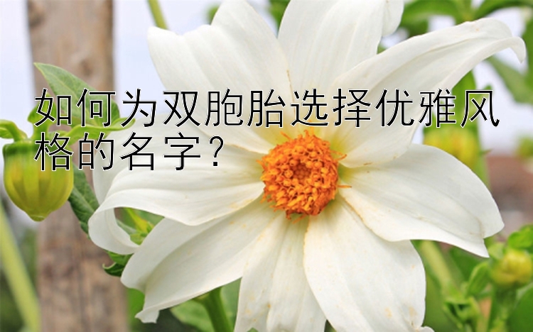 如何为双胞胎选择优雅风格的名字？