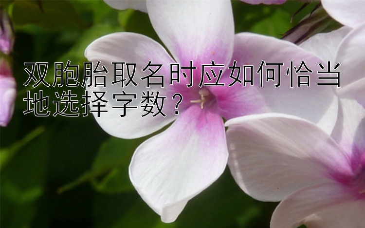 双胞胎取名时应如何恰当地选择字数？