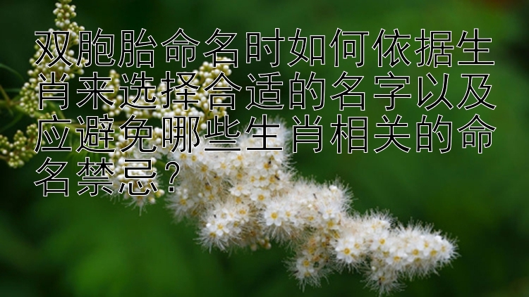 双胞胎命名时如何依据生肖来选择合适的名字以及应避免哪些生肖相关的命名禁忌？