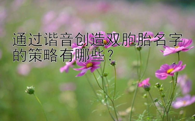 通过谐音创造双胞胎名字的策略有哪些？